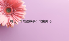 每日一个成语故事：北叟失马