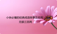 小学必懂的经典成语故事及应用：此地无银三百两
