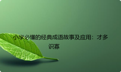 小学必懂的经典成语故事及应用：才多识寡