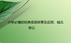 小学必懂的经典成语故事及应用：城北徐公