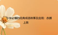 小学必懂的经典成语故事及应用：赤膊上阵