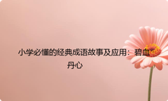 小学必懂的经典成语故事及应用：碧血丹心