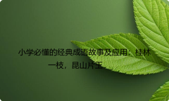 小学必懂的经典成语故事及应用：桂林一枝，昆山片玉