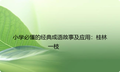 小学必懂的经典成语故事及应用：桂林一枝