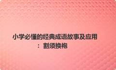 小学必懂的经典成语故事及应用：割须换袍