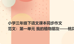 小学三年级下语文课本同步作文范文：第一单元 我的植物朋友——桃花