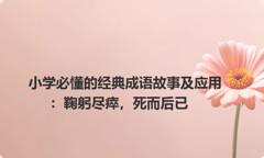 小学必懂的经典成语故事及应用：鞠躬尽瘁，死而后已