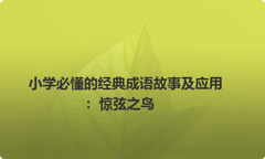 小学必懂的经典成语故事及应用：惊弦之鸟
