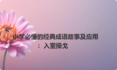 小学必懂的经典成语故事及应用：入室操戈