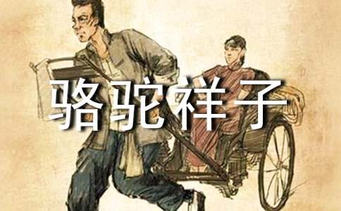 骆驼祥子读书笔记-集锦15篇