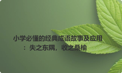 小学必懂的经典成语故事及应用：失之东隅，收之桑榆