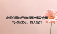 小学必懂的经典成语故事及应用：司马昭之心，路人皆知