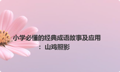 小学必懂的经典成语故事及应用：山鸡照影
