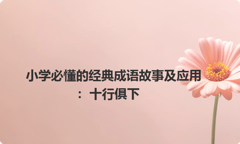 小学必懂的经典成语故事及应用：十行俱下