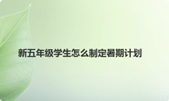 新五年级学生怎么制定暑期计划