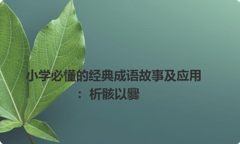 小学必懂的经典成语故事及应用：析骸以爨