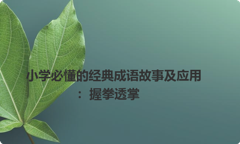 小学必懂的经典成语故事及应用：握拳透掌