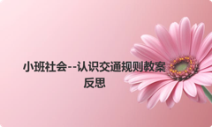 小班社会--认识交通规则教案反思
