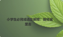 小学生必背成语及解释：捉将官里去