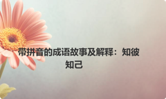 带拼音的成语故事及解释：知彼知己