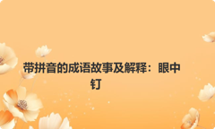 带拼音的成语故事及解释：眼中钉