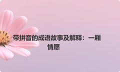 带拼音的成语故事及解释：一厢情愿