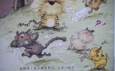 幼儿绘本故事推荐：狮子卡卡