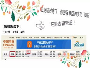 你的保单都回访成功了吗？
