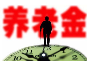 养老金的理顺是什么？