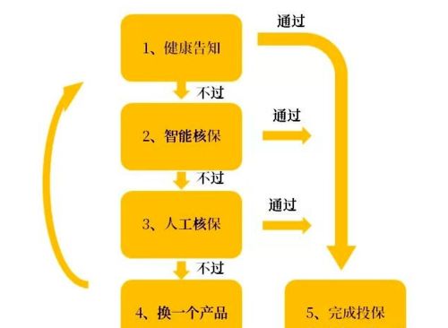 哪些健康问题能投保？