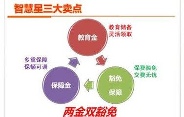 万能险具有什么特点？