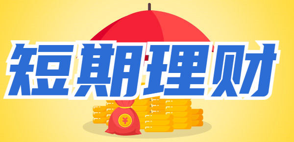 想要进行短期理财的看过来：2024适合短期理财的产